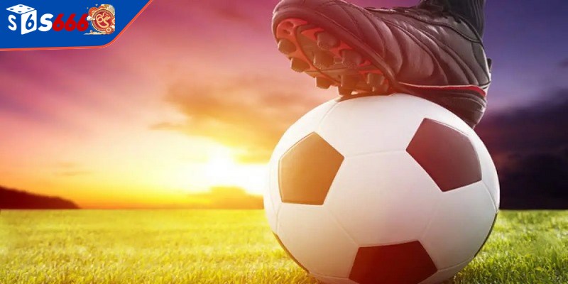 Hiểu rõ các loại kèo giúp người chơi đánh giá mức độ rủi ro khi cược